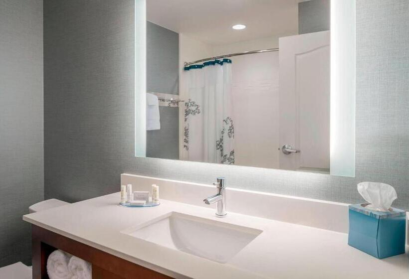 Люкс 2 Спальни, Residence Inn By Marriott Wheeling/st. Clairsville