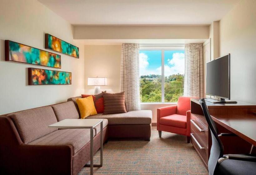 Люкс 2 Спальни, Residence Inn By Marriott Wheeling/st. Clairsville