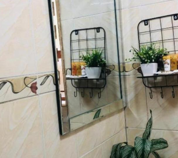 Номер Economy, C Rane Guesthouse