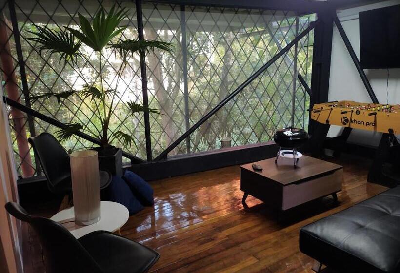 تختخواب در اتاق مشترک, Albore Hostel Pereira