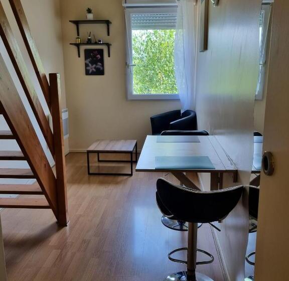 Номер Стандарт, Residence Erasmus