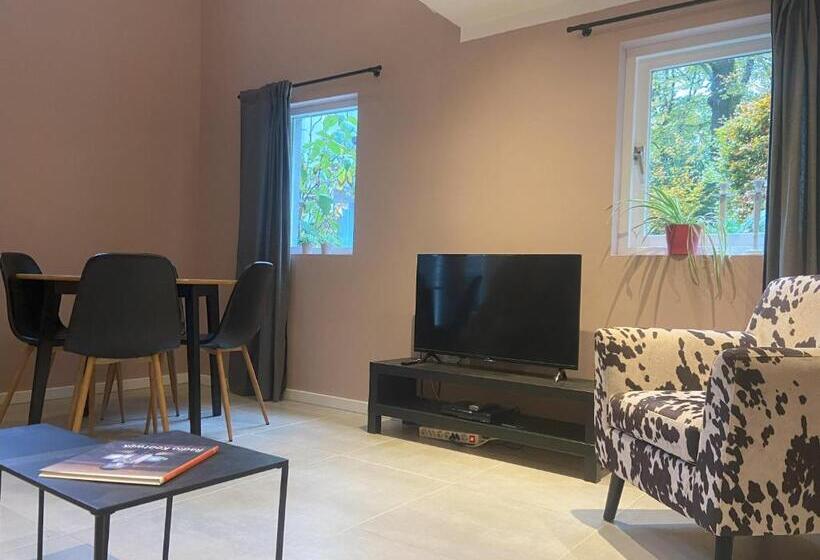 스탠다드 스튜디오, B&b In De Aap Gelogeerd