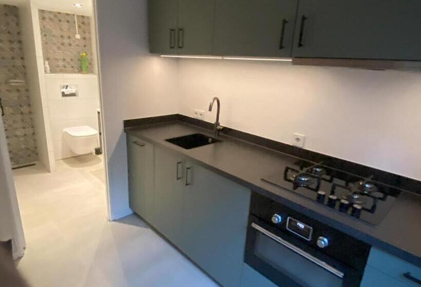 스탠다드 스튜디오, B&b In De Aap Gelogeerd