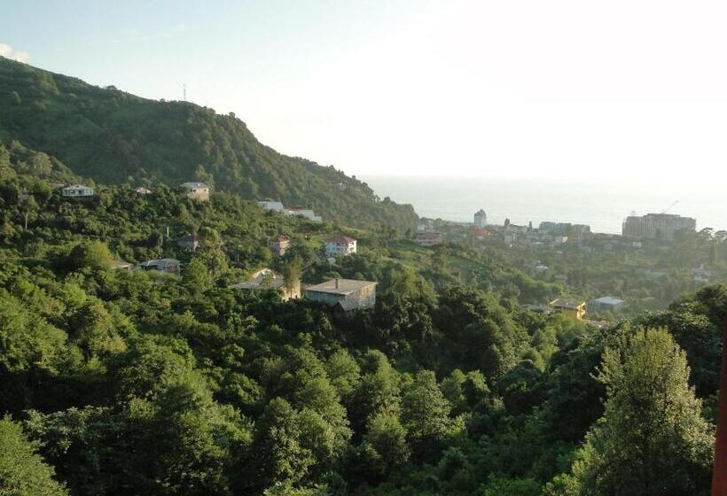 سوییت جونیور, Livada