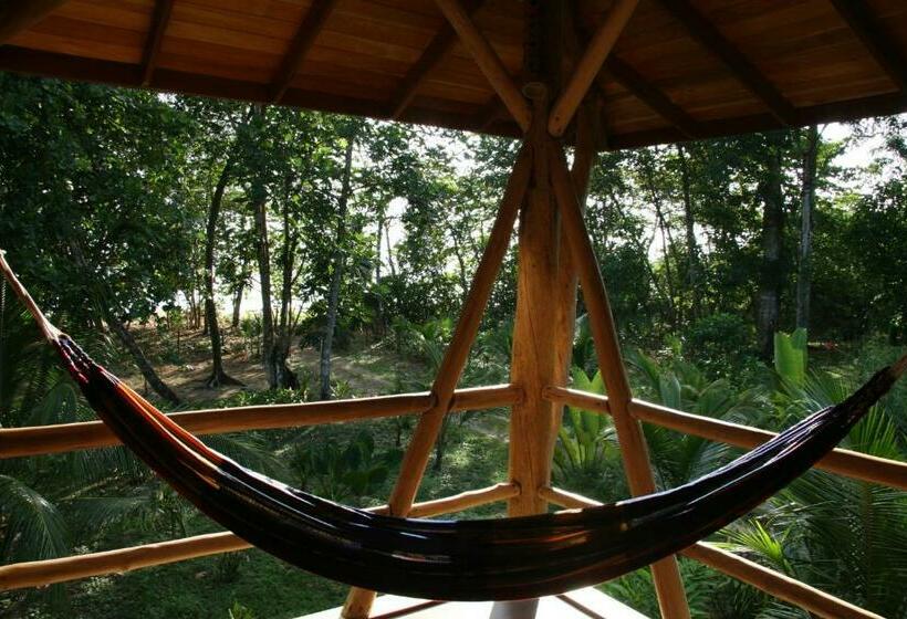 جناح ديلوكس مطل على البحر, Bluff Beach Retreat