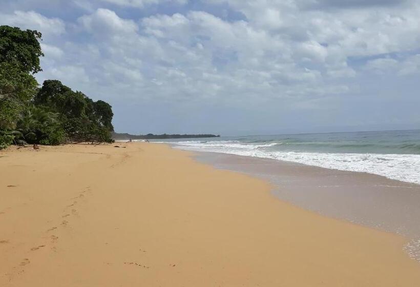 فيلا غرفة نوم واحدة مطلّة علي البحر, Bluff Beach Retreat