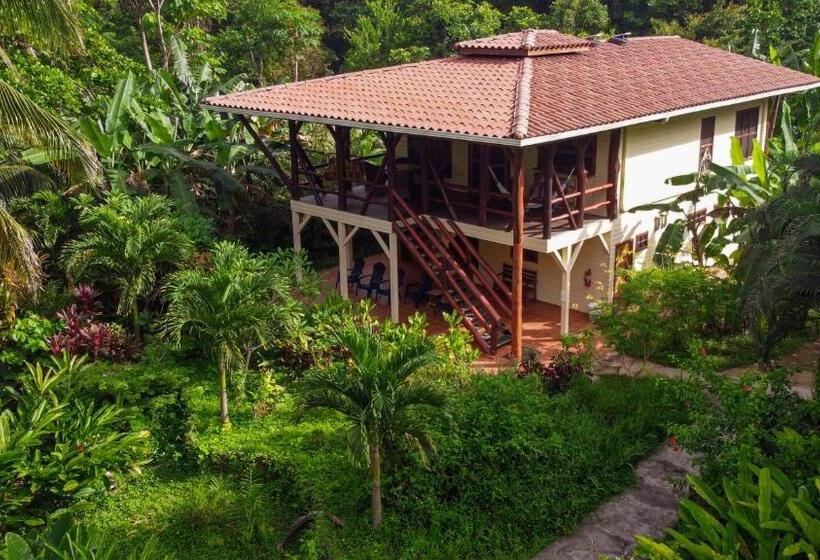 ‫فيلا غرفة نوم واحدة, Bluff Beach Retreat