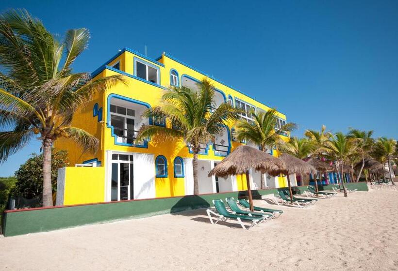 オーシャンビュースタンダードルーム, Del Sol Beachfront