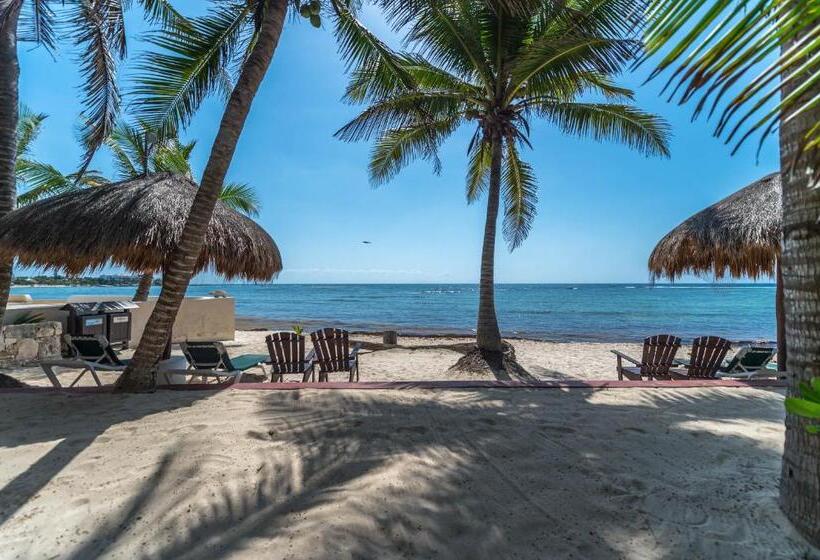 １ベッドルームのデラックスアパートメント, Del Sol Beachfront