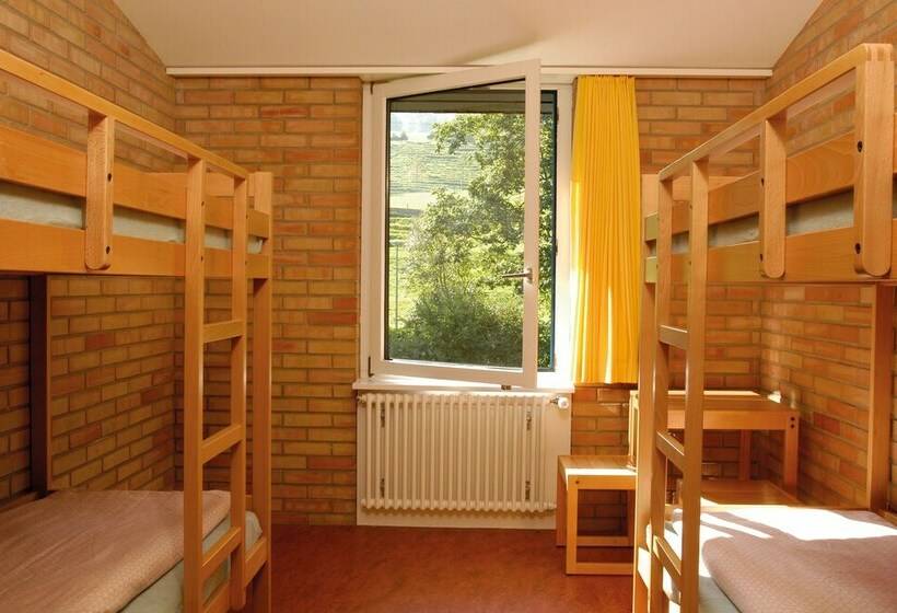 标准四人间共用浴室, St. Gallen Youth Hostel