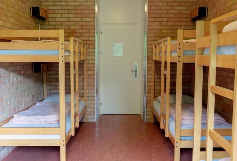 共用房间的床, St. Gallen Youth Hostel