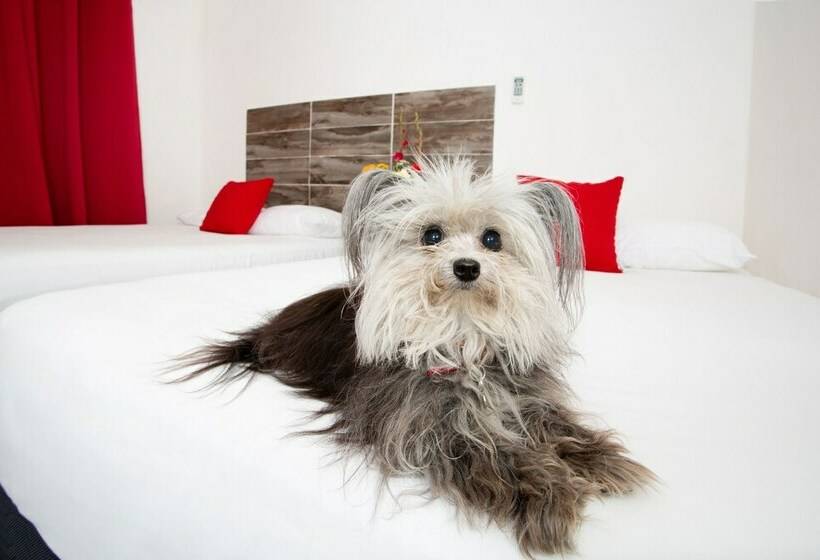 Apartament 21 Dormitor Superior, Suite 24  Boutique By Xperience S