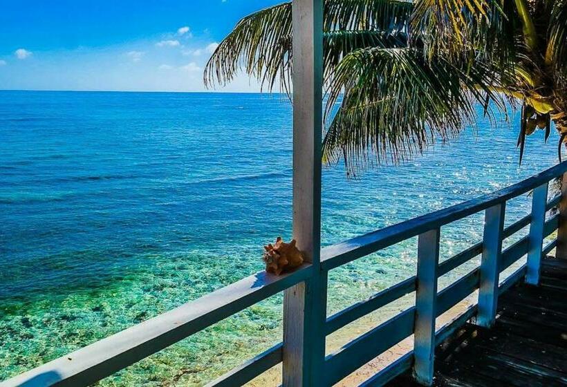 海景标准间带阳台, Ranguana Caye Cabanas