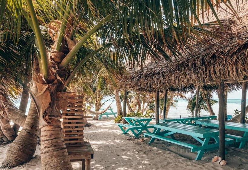 海景标准间带阳台, Ranguana Caye Cabanas