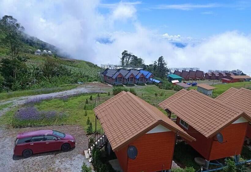 اتاق استاندارد, Baan Phak Plaithang At Phu Thap Buek