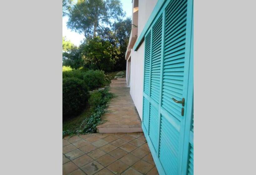 اتاق استاندارد, Mini Suite Ulivo