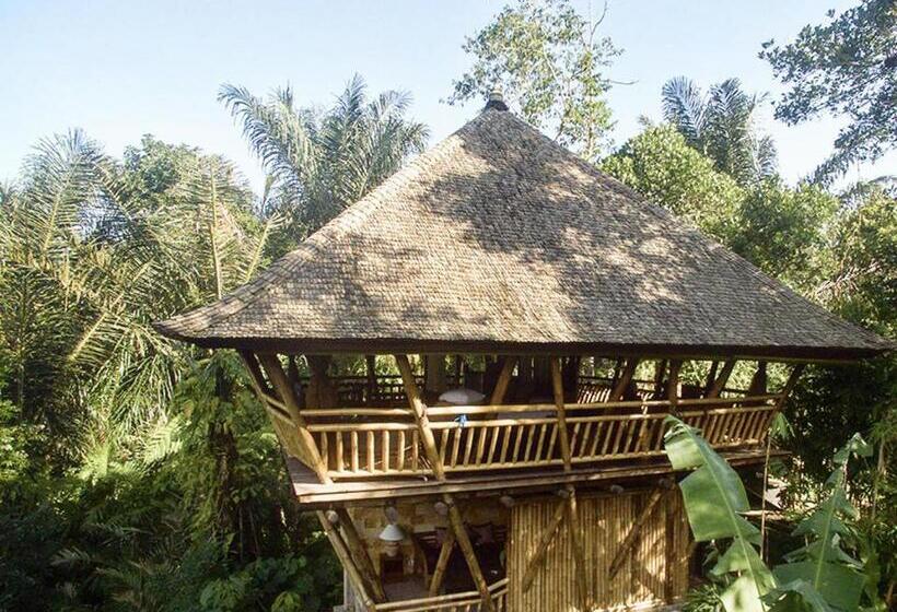 Дом 1 Спальня, Alassari Plantation