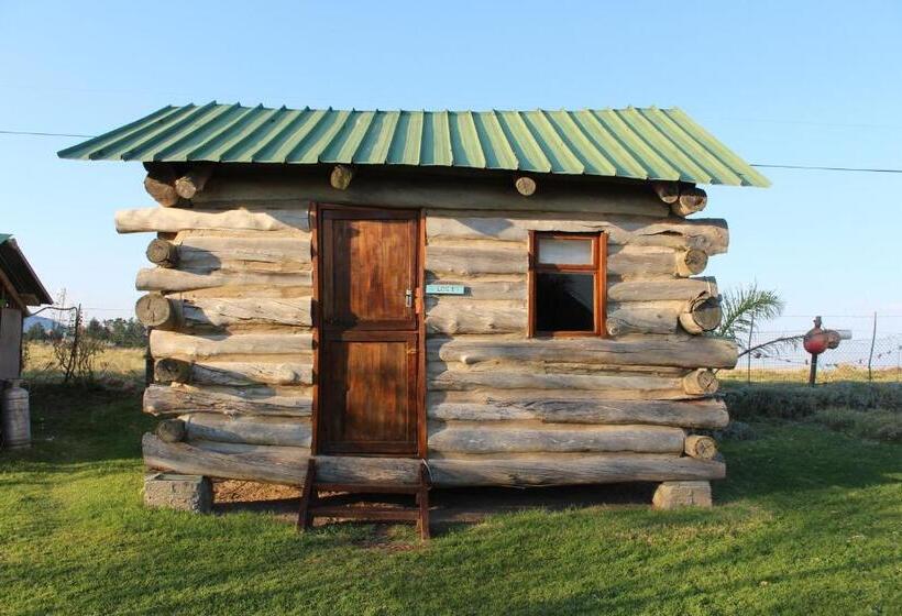 Номер Стандарт, The Wild Farm Backpackers