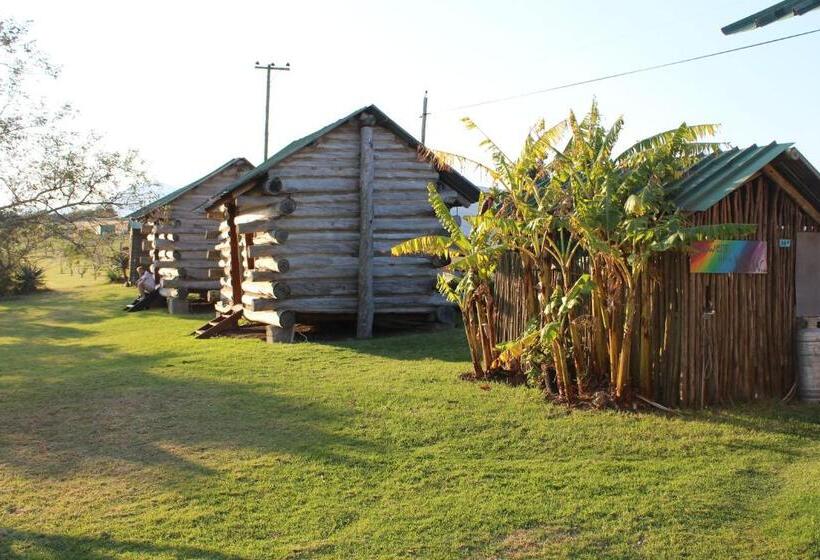 Номер Стандарт, The Wild Farm Backpackers