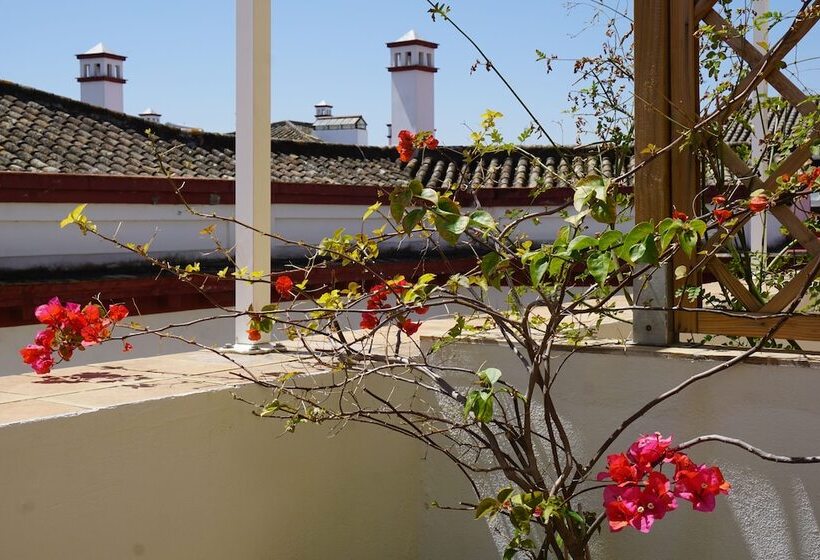 Cameră Familiară, Black Swan Hostel Sevilla