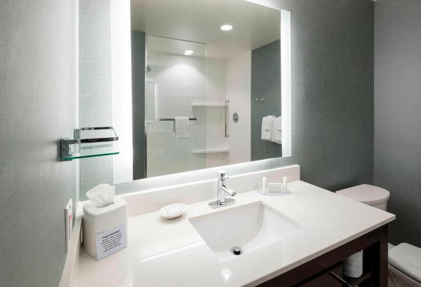 Люкс Кровать Кинг, Residence Inn By Marriott Clearwater Beach