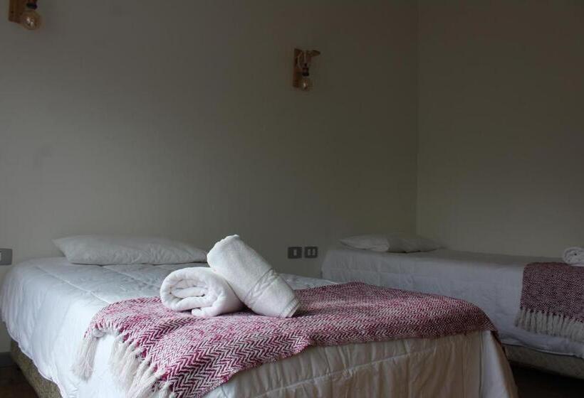 标准间, Hostal Alamo Patagonico