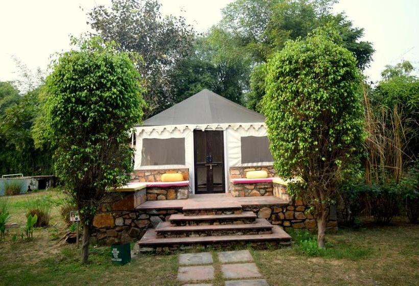 带大床的标准间, Sultan Bagh Resort By The Sky Imperial
