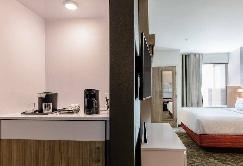 套房, Springhill Suites By Marriott Columbia