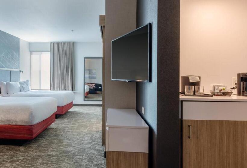 套房, Springhill Suites By Marriott Columbia