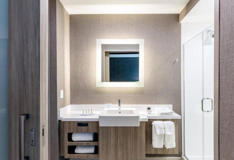 适合残疾人士使用的套间, Springhill Suites By Marriott Columbia