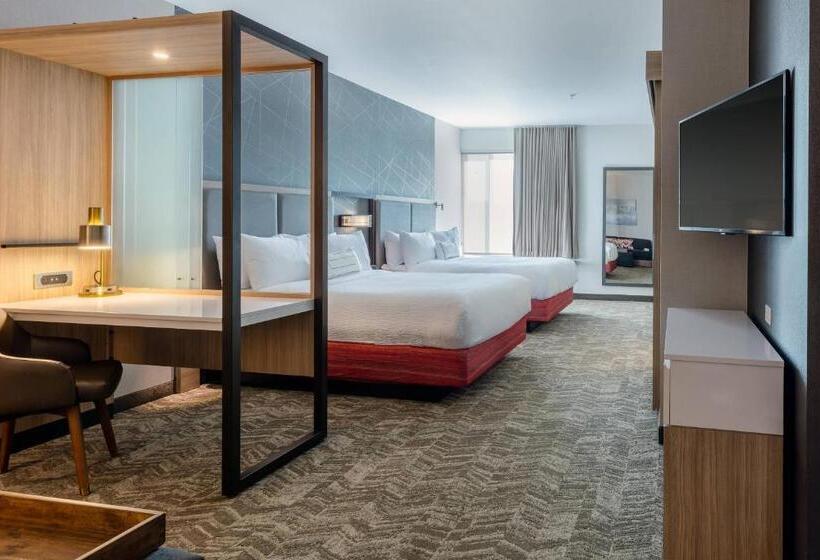 适合残疾人士使用的套间, Springhill Suites By Marriott Columbia