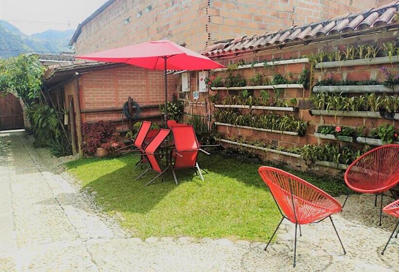 Номер Стандарт, Kantarrana Urbana Jardin