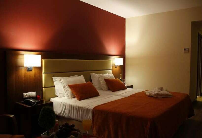 标准间, Palace Hotel & Spa Termas Do Bicanho