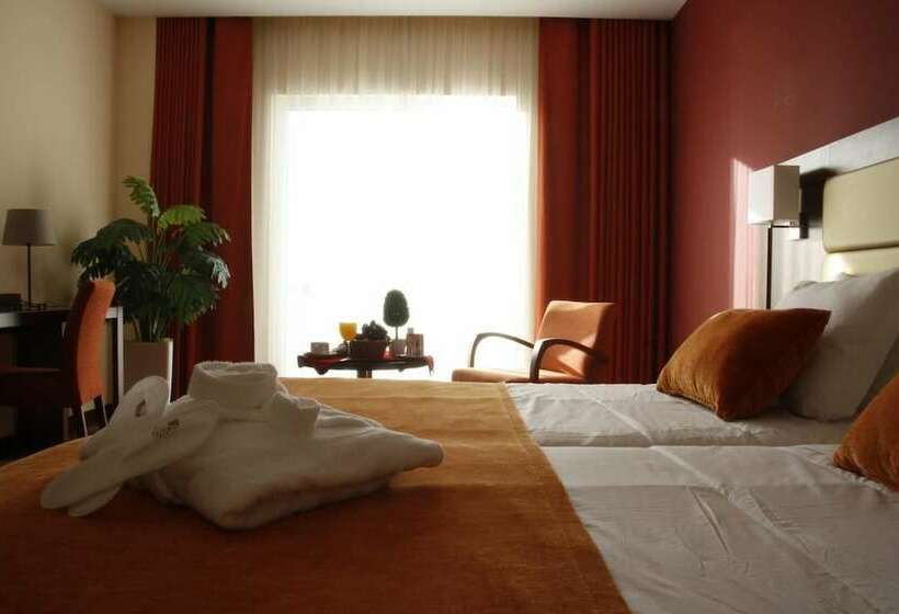 스탠다드 룸, Palace Hotel & Spa Termas Do Bicanho