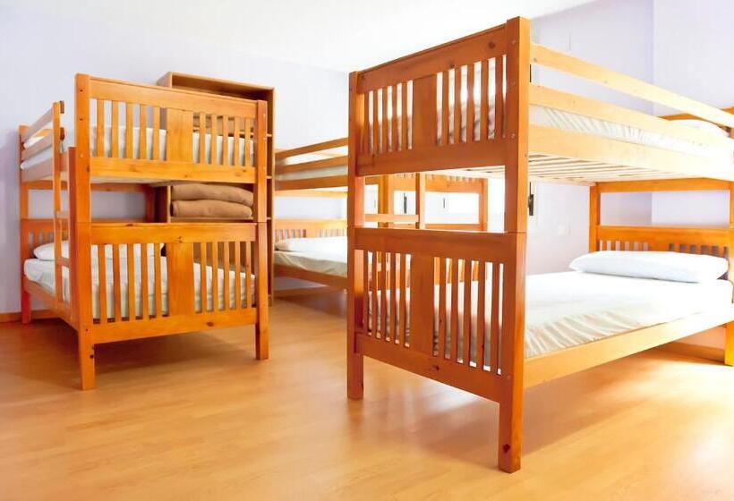 家庭间, Albergue Turístico Rio Aragon