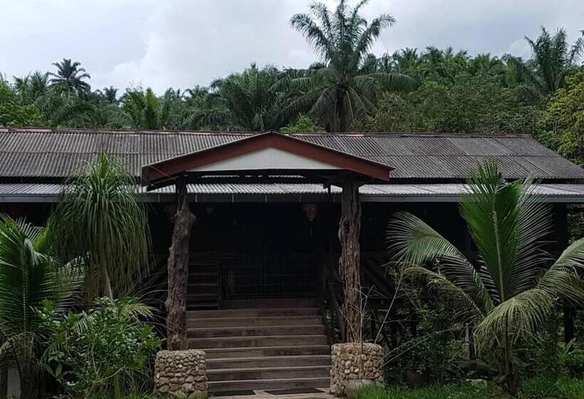 디럭스 패밀리 룸, Rockforest Chalet