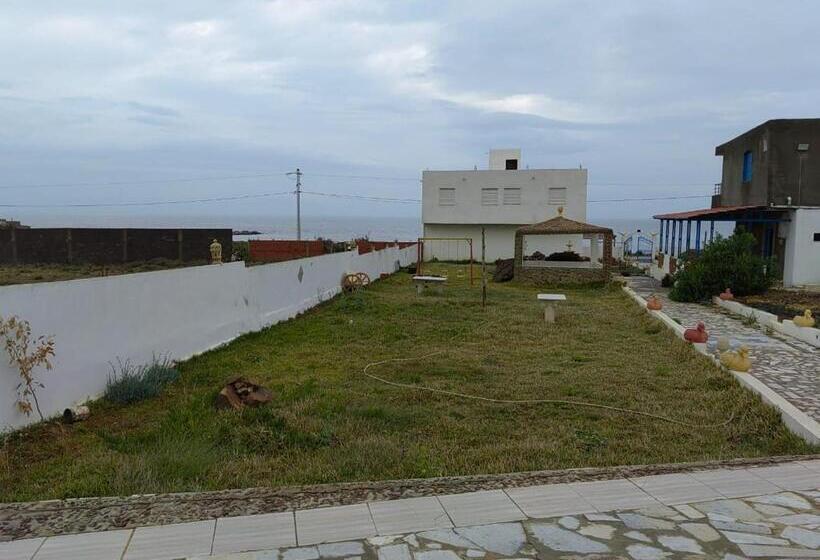 Номер Стандарт, Dar Haja Zekia