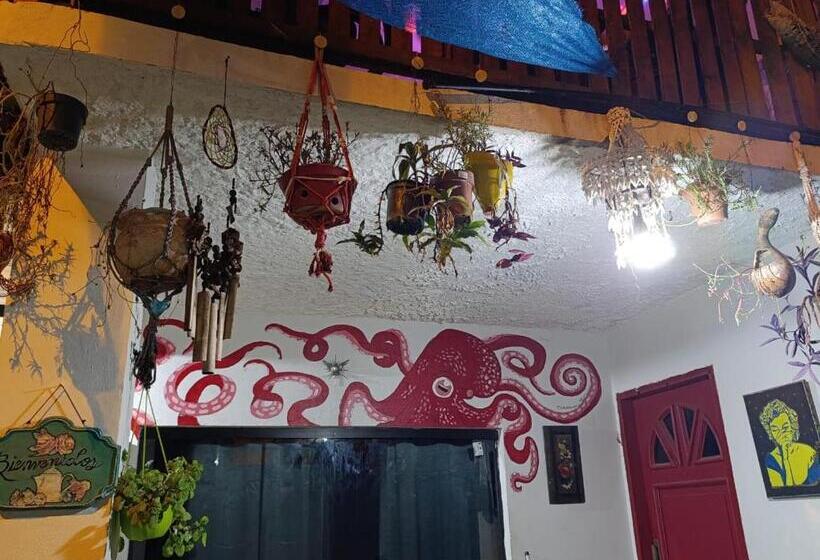 اتاق استاندارد با سرویس بهداشتی مشترک, La Petite Maison De Diana