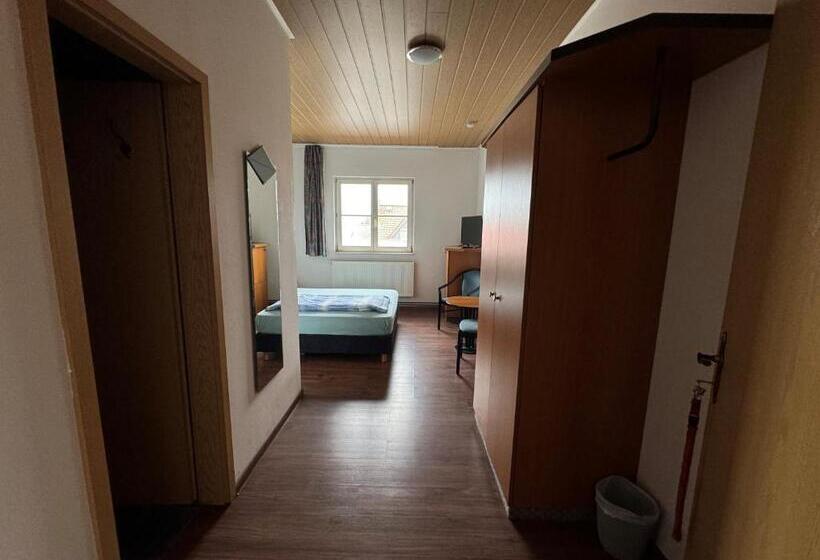 Номер Стандарт Индивидуальный, Pension Lindenhof Drabsch