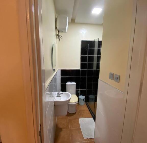 استودیوی استاندارد, Box Residence