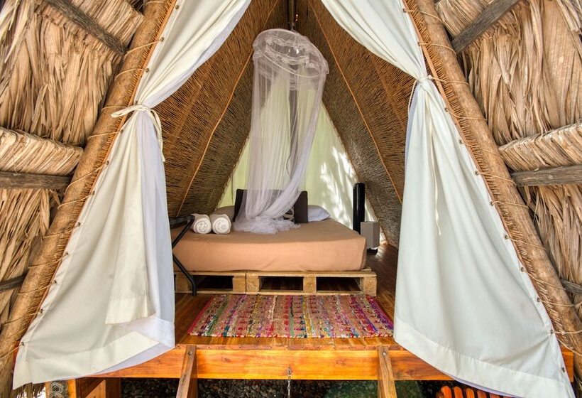 Standard Tent, Selina La Fortuna
