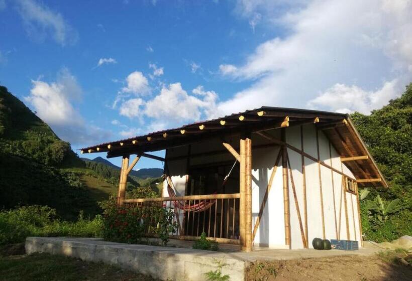 스탠다드 룸, Cabaña Nido De Amazilia