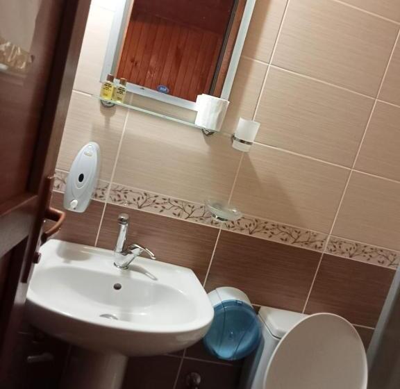 اتاق استاندارد سه نفره, Ayder Petek Apart Otel