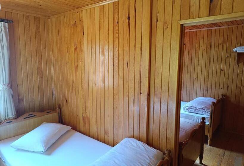 اتاق استاندارد چهار تخته, Ayder Petek Apart Otel