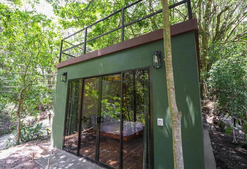 سوییت سوپریور, La Casa De La Montaña
