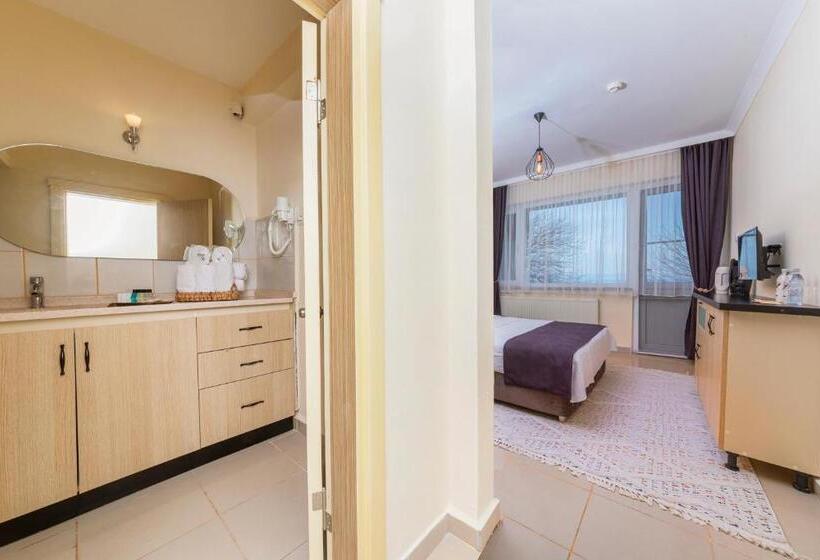 اتاق استاندارد با چشم‌انداز کوهستان, Ki̇raz Beach Otel