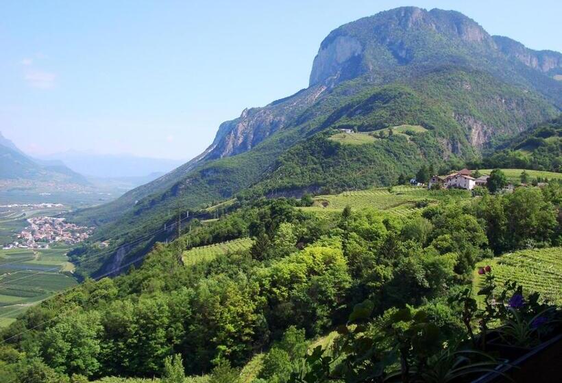 Номер Стандарт с Балконом, B&b Klammhof Panorama