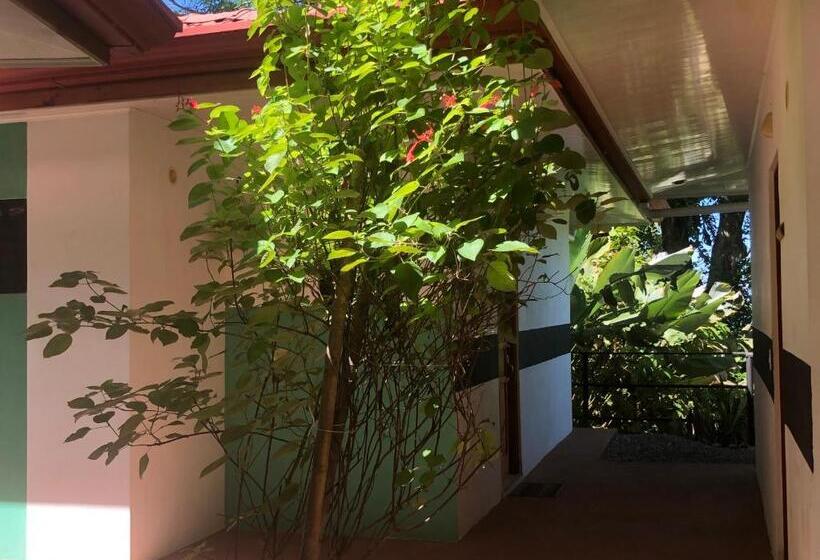스위트 킹사이즈 침대, Casa Del Toucan