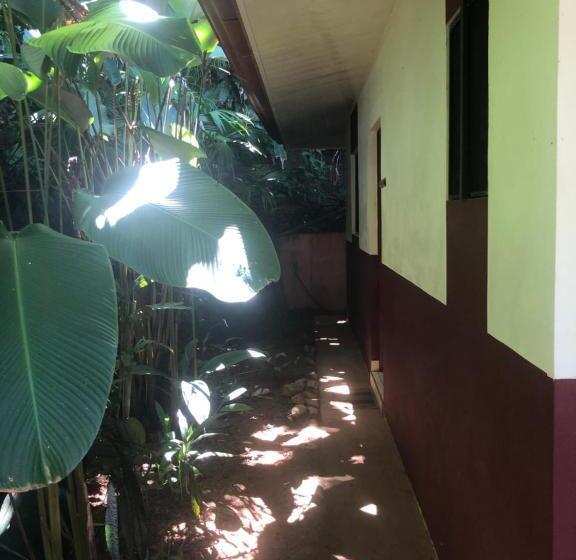스위트, Casa Del Toucan