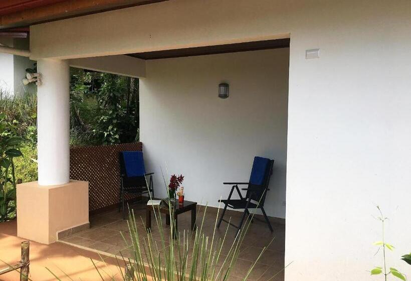 스탠다드 스튜디오, Casa Del Toucan